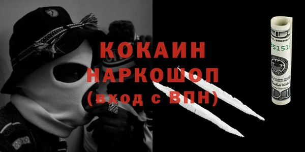 ешки Алексин