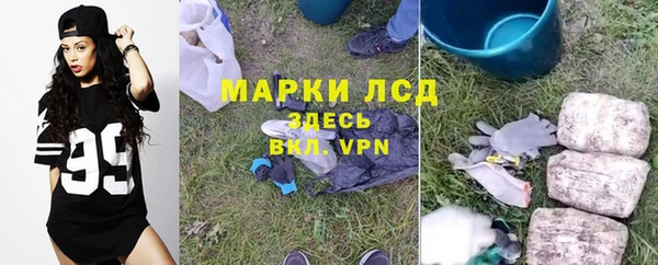 PSILOCYBIN Пересвет
