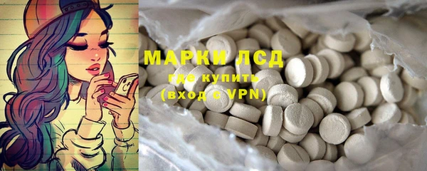 spice Алзамай