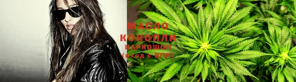 spice Алзамай